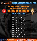 HORSE RACING SCHEDULE TIPS copy 2.jpg