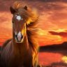 horseking